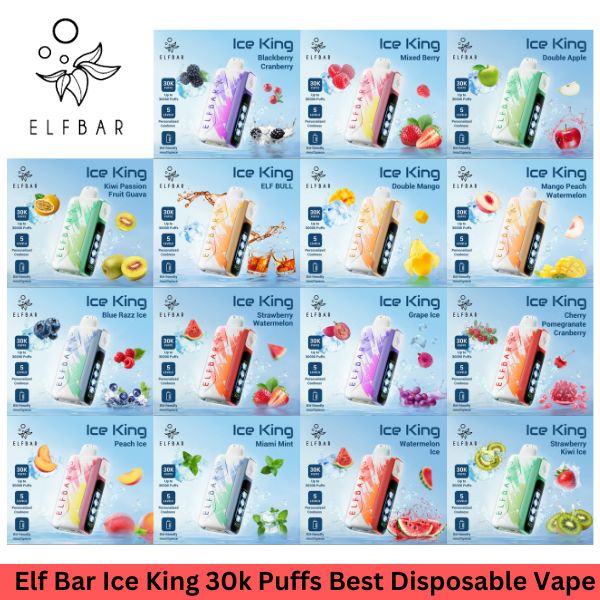 Elf Bar Ice King 30k Puffs Best Disposable