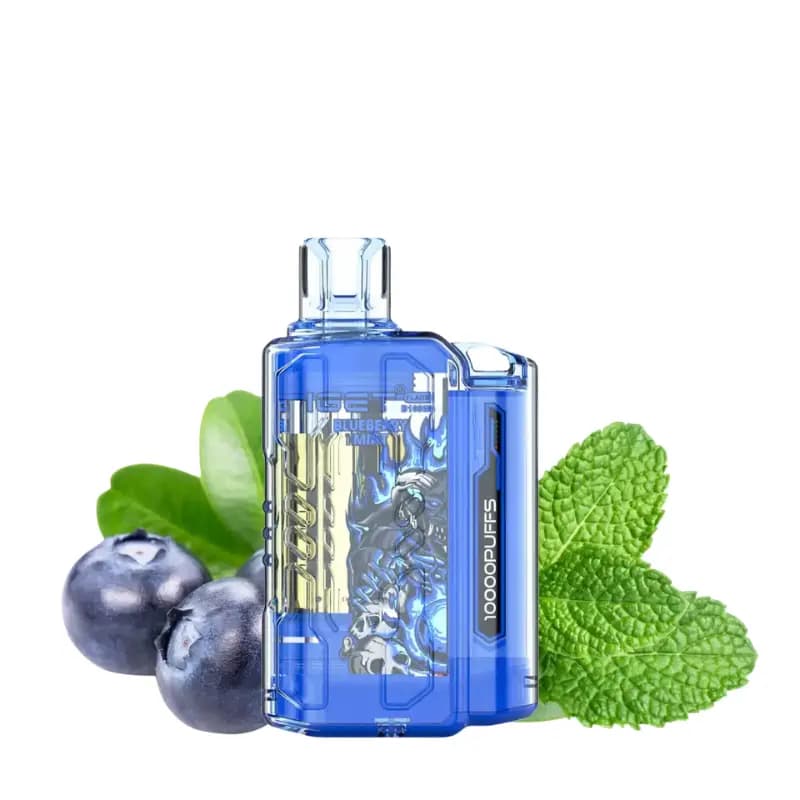 iget flare blueberry mint