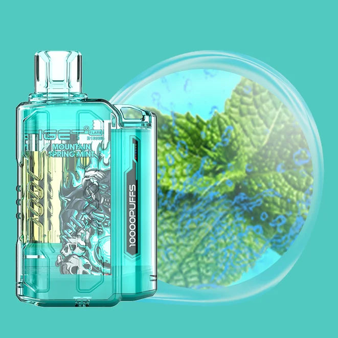 Iget flare mountain spring mint